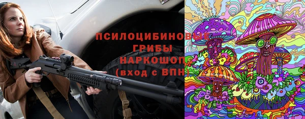 хмурый Сосновый Бор