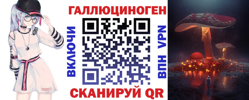 Галлюциногенные грибы Psilocybe  Буйнакск 